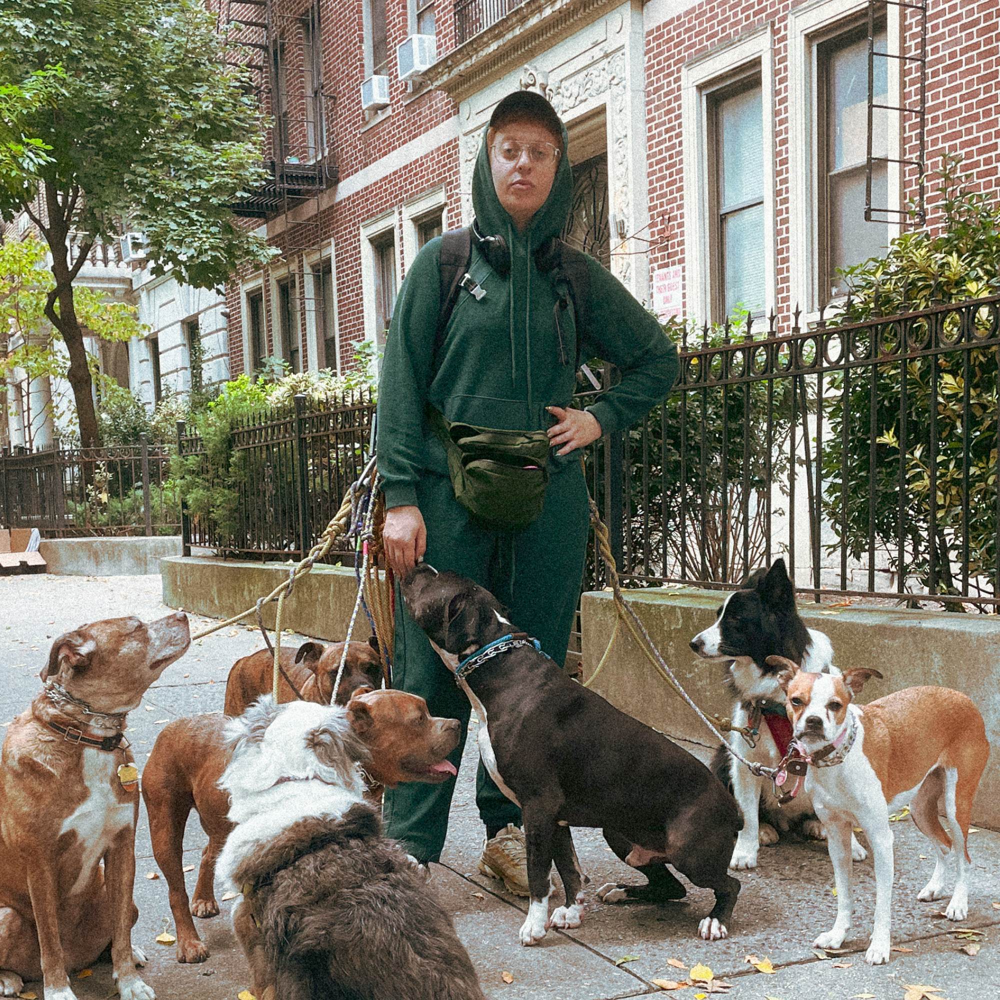 Inside Out French Terry Jogger - Phantom Pine - Image 4